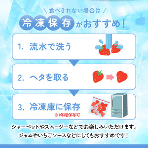福岡県産あまおういちご　280g～300g×4パック（中粒）【3月～4月発送】 _ いちご あまおう 中粒 4パック 宇佐川農園 果物 フルーツ みずみずしい ジューシー 甘味 酸味 濃厚 ストロベリ