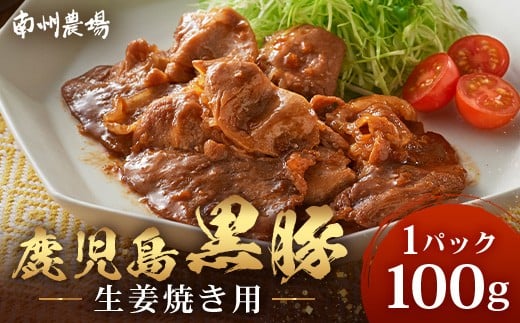 鹿児島県産 黒豚生姜焼きセット 100g 味付き肉 冷凍 NS-20 | 鹿児島 黒豚 かごしま黒豚 お肉 肉 豚肉 しょうが焼き 焼くだけ 味付き おかず お弁当 加工肉 真空パック 鹿児島県 南大隅町 南州農場