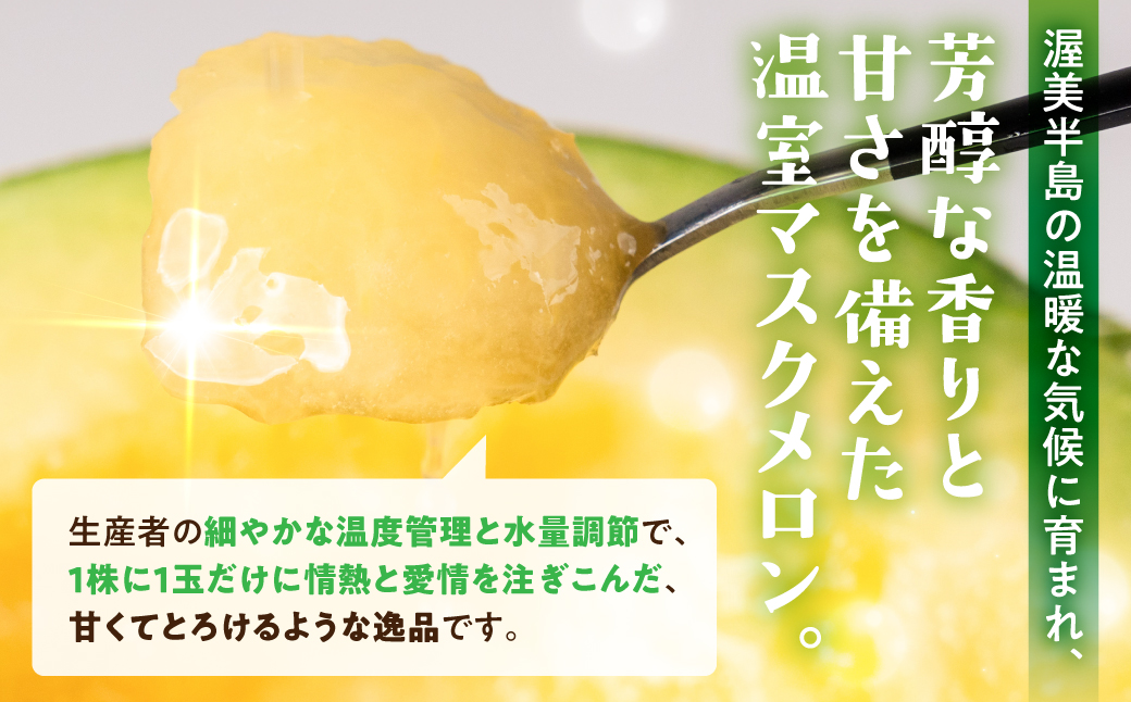 【先行予約】マスクメロン 1玉 メロン めろん マスクメロン フルーツ 果物 愛知県 田原市 渥美半島 お取り寄せ スイーツ ギフト 贈り物 プレゼント 贈答 贈答用 ニュー渥美 観光 1玉 2玉 3