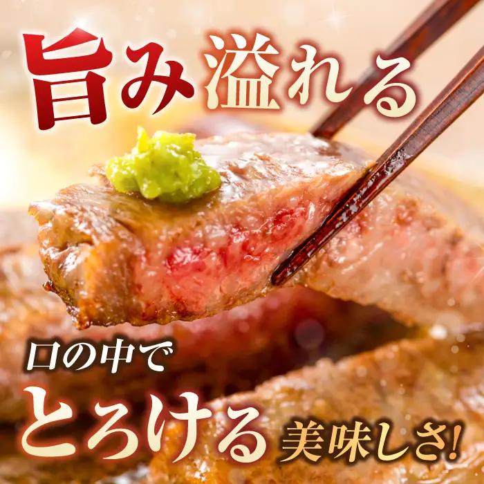 【6回定期便】サーロインステーキセット 500g（250g×2枚）  [AFBO007]