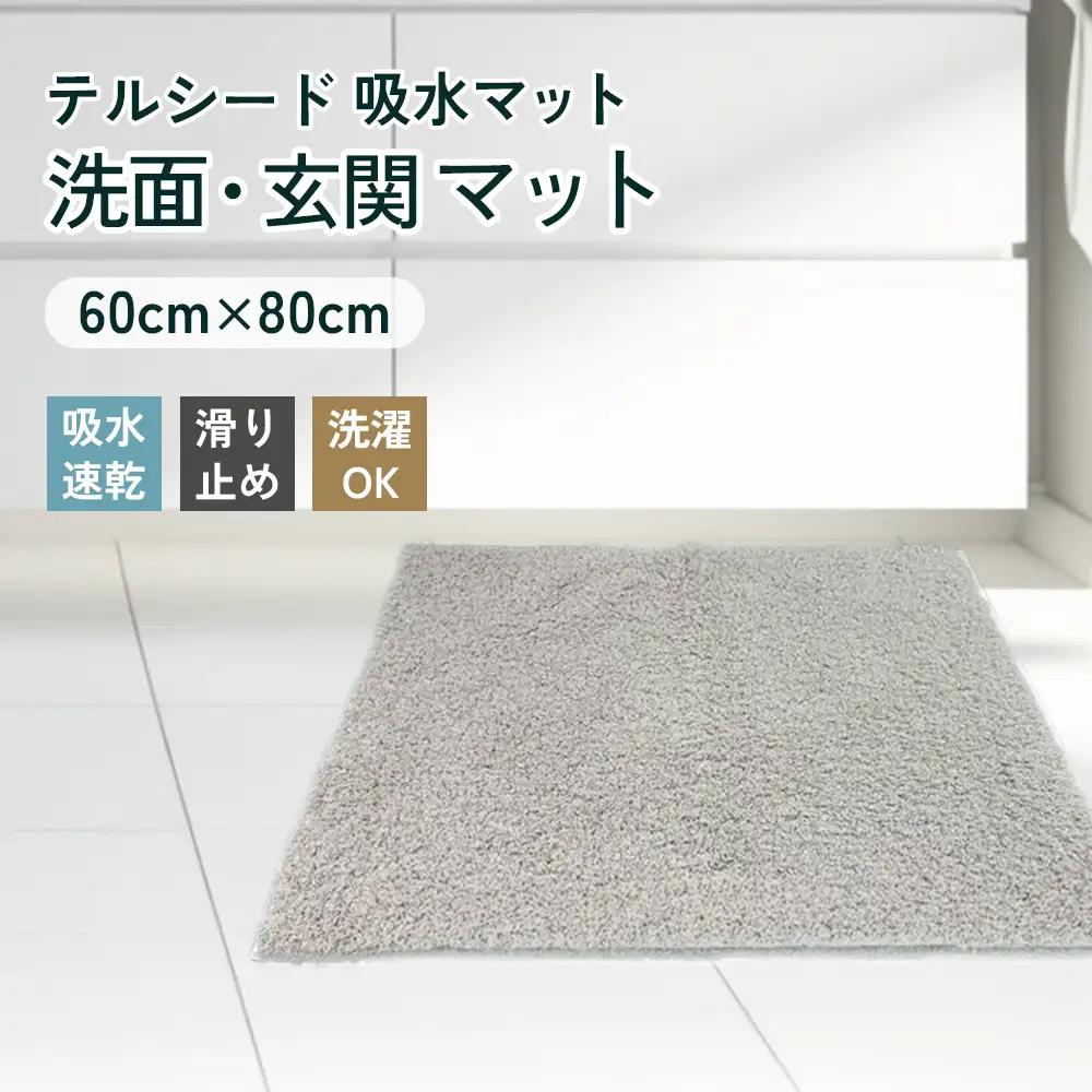吸水マット （洗面・玄関用） テルシード No.257