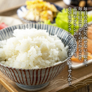 新米 令和7年産 にじのきらめき 白米 10kg 2025年産