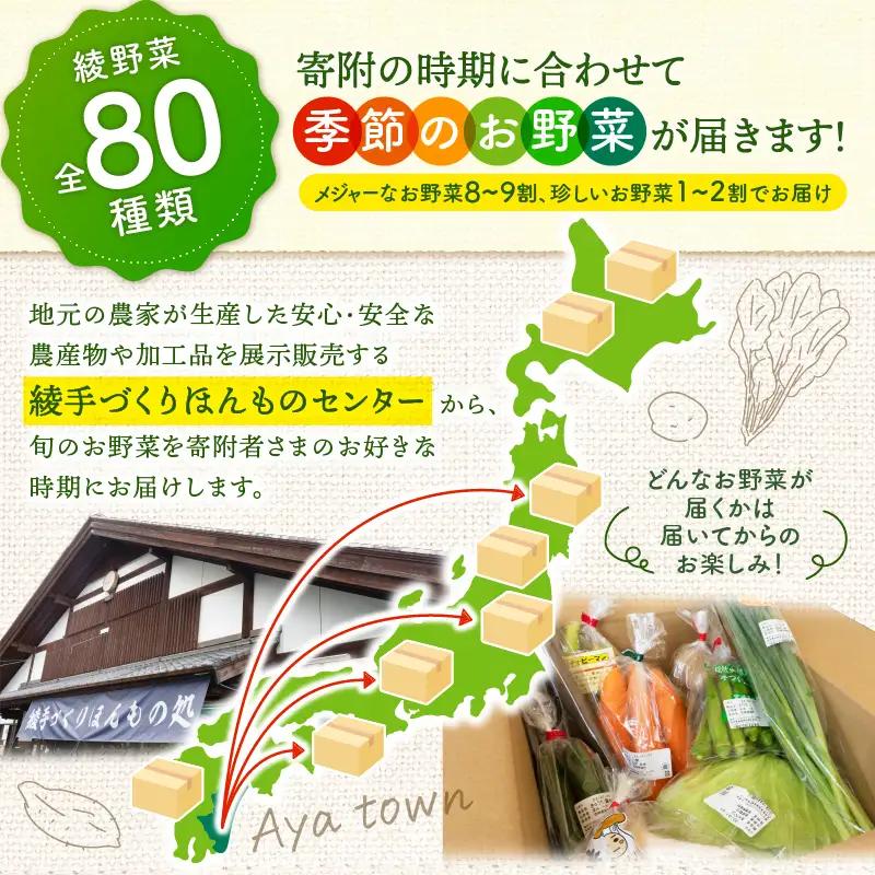【12回定期便】日時指定OK！本日のお野菜セット （小サイズ/約8～10種） / 野菜 有機栽培 産地直送 新鮮 旬 詰め合わせ きのこ類 やさい 送料無料 【オーガニックのまち 宮崎県綾町】_A00
