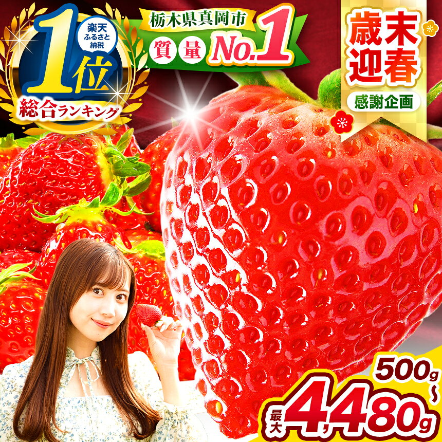 楽天限定 朝摘みいちご 旬の品種 1200g