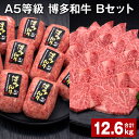 【ふるさと納税】A5等級 博多和牛 Bセット 計12.6kg 博多和牛100%贅沢本格手ごねハンバーグ 【訳あり】博多和牛ヒレ焼肉 牛肉 お肉 和牛 冷凍 福岡県産 国産 九州 福岡県 糸田町 送料無料