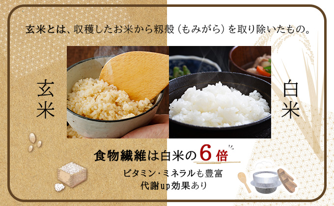 令和7年産!ファーム坂口の特別栽培米 ななつぼし玄米 15kg(5kg×3)