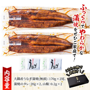 大隅特産うなぎ蒲焼２尾（340ｇ）【国産】 1386