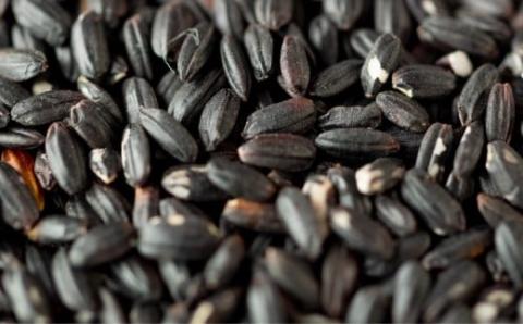 古代米・黒米「きたのむらさき」1kg FKE001