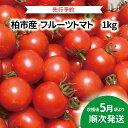 【ふるさと納税】 【先行予約】 【2025年5月発送】 おすすめ フルーツトマト 1kg セット 野菜 おいしい 旬 季節 時期 たっぷり 大量 夏野菜 イタリアン サラダ デザート