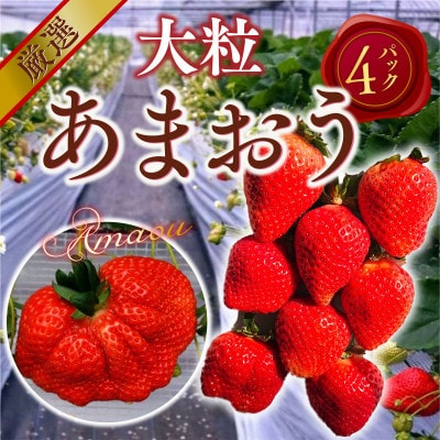 【2027年2月より順次発送】厳選大粒あまおう(約250-270g×4パック)(宇美町)【配送不可地域：離島】