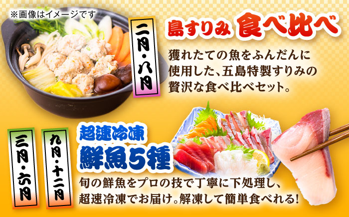 【12回定期便】五島のお魚！満喫定期便（2人前）/五島市 [PZX054]