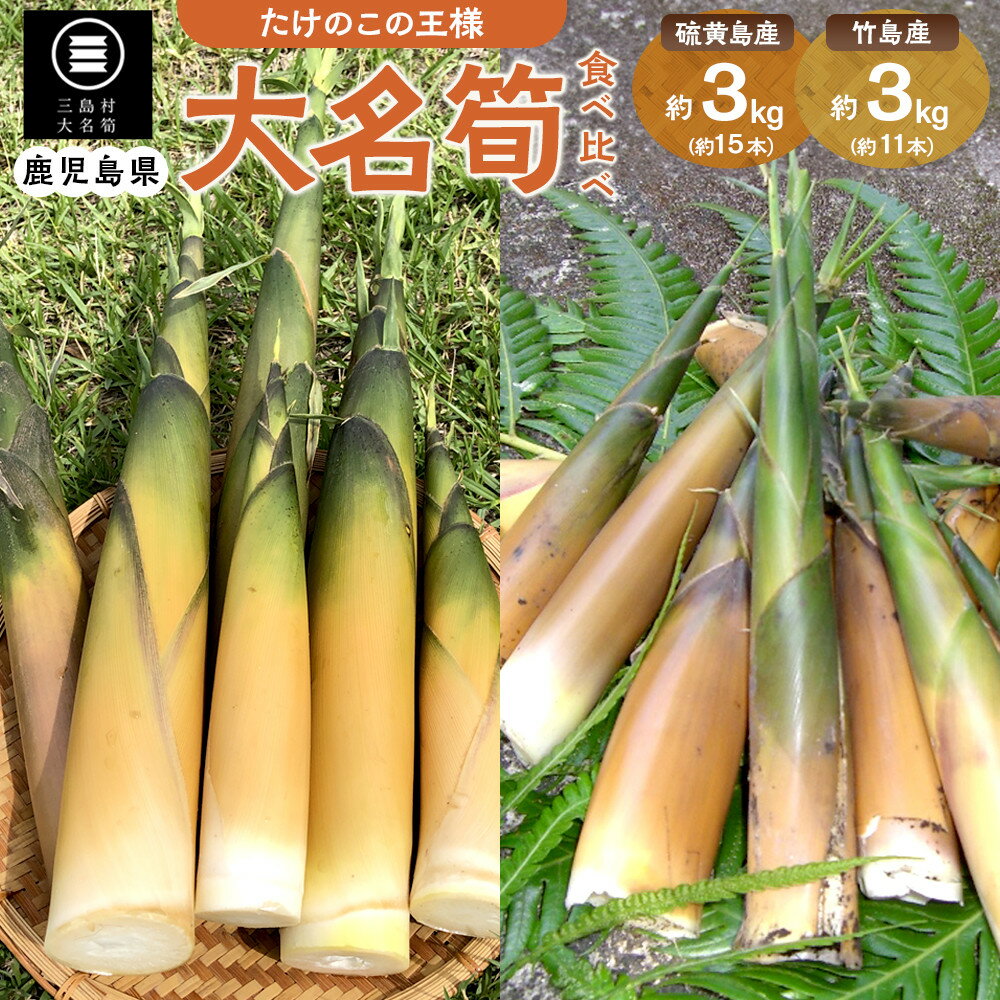 【ふるさと納税】【2026年お届け】大名筍 食べ比べ セット 合計6kg　( 硫黄島産 3kg ＆ 竹島産 3kg ) | 筍 たけのこ 竹の子 皮付き 山菜 高級 稀少 ≪5月初旬より発送開始≫
