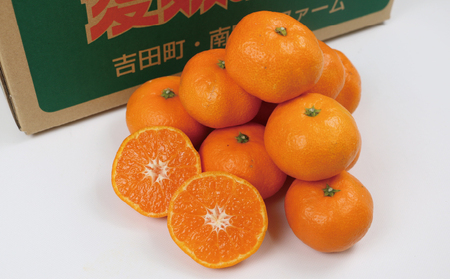 温州みかん 南柑20号 7kg 大小混合 サイズ ミックス 南四国ファーム 甘い コク ジューシー 愛媛みかん 温州 みかん ミカン mikan 愛媛蜜柑 愛媛ミカン 宇和島みかん 人気みかん 果物 