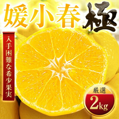 【ふるさと納税】【太陽をたっぷり浴びた】媛小春(ひめこはる)【極】2kg【D49-98】【1623959】
