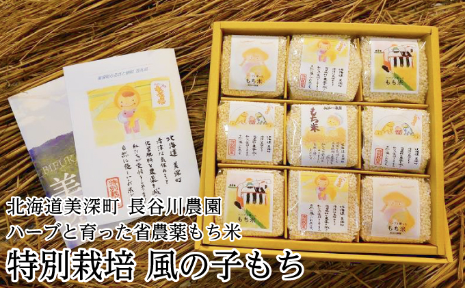 ［先行予約/11月発送開始］ハーブと育った省農薬の特別栽培もち米「風の子もち」300g×9【北海道美深町】長谷川農園【 もち もち米 餅 餅米 】