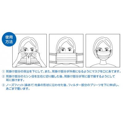 ふるさと納税 茨木市 サージカル ソフトバンドマスク 普通サイズ 2箱セット |  | 02