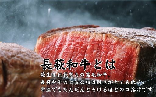 長萩和牛ハンバーグ 180g×5個