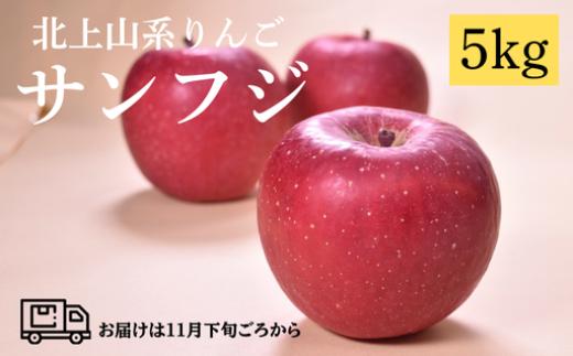 
            【 予約受付 /2025年 11月発送開始 】 北上山系 りんご サンふじ 5kg (目安12～20玉) リンゴ 林檎 サンフジ ふじ 果物 フルーツ 果実 贈答 東北 岩手 土産 展勝地 桜の名所 岩手県 北上市 E0143 展勝地レストハウス
          