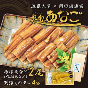 近畿大学×岡田浦漁協『泉南あなご』煮込（伝助アナゴ）2尾入り！【058D-005】