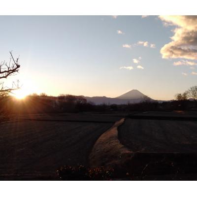 ふるさと納税 韮崎市 令和6年産キヌヒカリ(白米)5kg×1袋 |  | 01