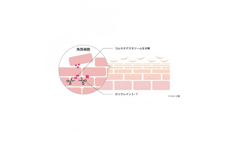 オルモニカ ピュリファイング ブースターセラム 30ｍL