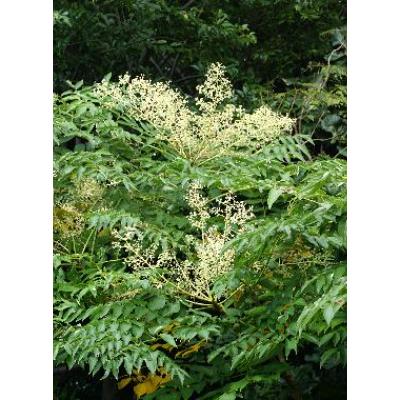 ふるさと納税 那智勝浦町 熊野古道　峠の蜂蜜 |  | 02