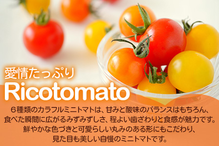 【先行予約】 カラフルミニトマト『Ricotomato』 【1kg×2回定期便】【2024年12月から出荷】 D-92