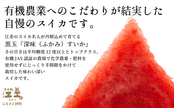 【2026年8月下旬発送開始】北海道産 黒皮 深味すいか  中玉 5.5kg以上 1玉  有機農産物（JAS認証）　高糖度　化学農薬不使用　オーガニック　有機農業　スイカ　すいか　西瓜　 高級西瓜　黒