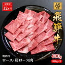 【ふるさと納税】【定期便12ヶ月】牛肉 飛騨牛 焼き肉 セット ロース 又は 肩ロース 600g 黒毛和牛 A5 美味しい お肉 牛 肉 和牛 焼肉 BBQ バーベキュー 【岐阜県池田町】　定期便