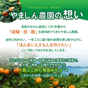 【訳あり・ご家庭用】こだわりの有田みかん 約6kg＋150g(傷み補償分)  【2026年12月中に順次発送予定】光センサー選別 農家直送 / みかん ミカン 有田みかん 温州みかん 柑橘 フルーツ 