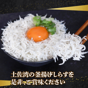 【土佐湾からの贈りもの】しらす干し1.5kg（250g×6パック）