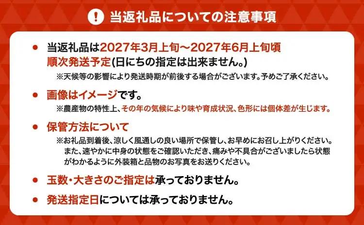 【先行予約】 訳あり 不知火 でこ姫 約5kg（約18～25玉）【吉田レモニー】【2027年3月上旬-6月上旬発送】