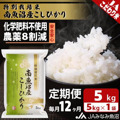 ふるさと納税 南魚沼市 【毎月定期便】特別栽培米南魚沼産こしひかり8割減 精米 5kg全12回