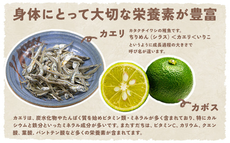 百年続く「村のまかない飯」いり飯のもと 3合 (3-4人前) 3パック 村のごちそう宮商店 《30日以内に出 荷予定(土日祝除く)》ご当地グルメ ごはんのお供 ご飯に混ぜるだけ 徳島 郷土料理 混ぜ込