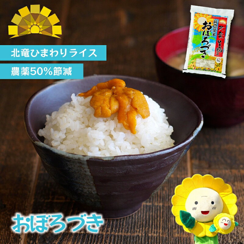 【ふるさと納税】 おぼろづき 新米 予約 / 白米 玄米 ごはん こめ 北海道米 5kg 10kg 30kg ※10月～順次発送 //rice
