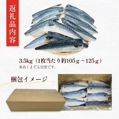 ふるさと納税 石巻市 さば 〈 訳あり 〉 国産 塩さば フィーレ 3.5kg 冷凍 切身 フィレ 鯖 不揃い 石巻応援 |  | 03