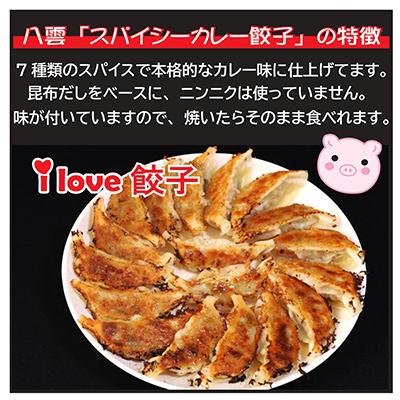 ふるさと納税 八雲町 スパイシーカレー餃子(10個×4箱) |  | 01