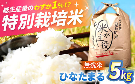【先行予約　2026年11月～発送】令和8年産 無洗米 ひなたまる 5kg【定松ファーム】[IBV010]