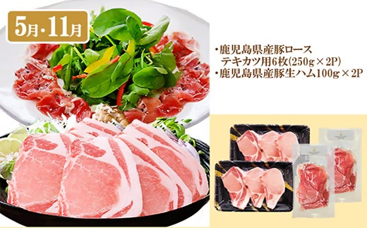 定期便(6回)A5・A4等級黒毛和牛・黒豚etc FF-0061【1166779】 _ ふるさと納税 定期便 牛肉 豚肉 和牛 サーロイン ステーキ 黒豚 ホルモン しゃぶしゃぶ 焼肉 すき焼き もつ
