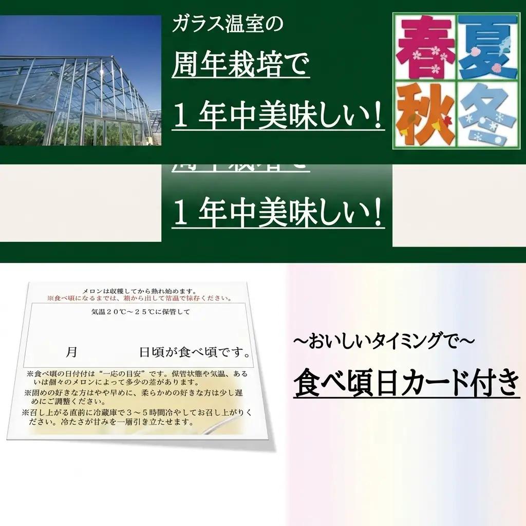 クラウンメロン 名人メロン 山等級 マスクメロン クラウンメロン【2玉】【桐箱入】