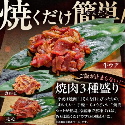 ふるさと納税 渋谷区 焼肉セット 3種 (味噌)【195017】 |  | 01