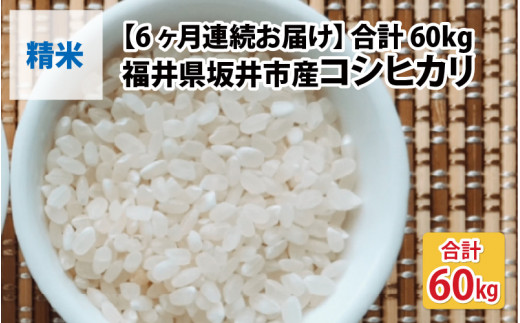 【先行予約】【令和8年産・新米】【6ヶ月連続お届け】福井県坂井市丸岡町産 コシヒカリ10kg×6回　計60kg（精米）【2026年10月より順次発送予定】 [L-11304_03]