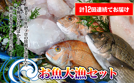 ［頒布会12回］瀬戸内海産の海産物の詰め合わせ（下処理アリ） FAH-0127