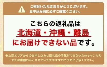 【お正月飾り】床飾り（小）※北海道・沖縄・離島への配送不可 ※2026年12月中旬～12月下旬頃に順次発送予定