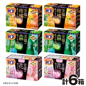SA2703　花王バブ 至福のめぐり浴　計6箱(3種×各2箱)
