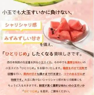紀州和歌山産 小玉スイカ「ひとりじめ」 1玉 ※2027年5月下旬頃〜6月下旬頃順次発送予定 【uot402-r-1】