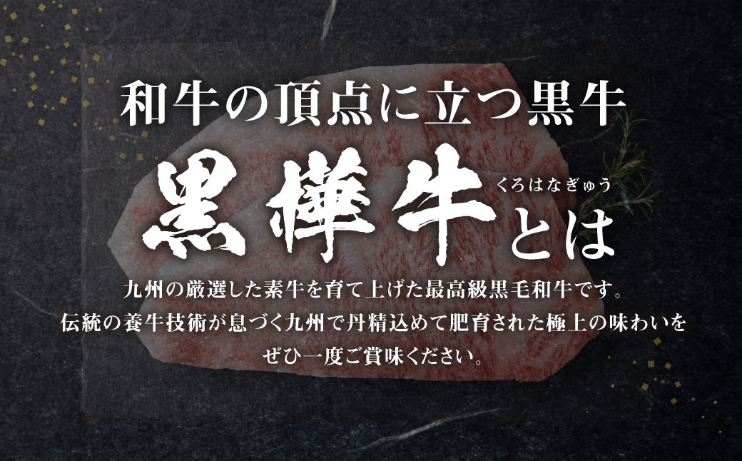 【3回定期便】九州産黒毛和牛 杉本本店 黒樺牛 A4~A5等級 サーロインステーキ定期便 400g×3回