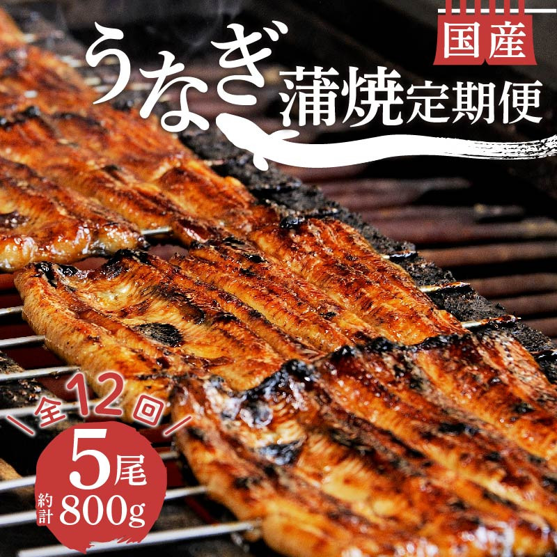 
            【 12ヵ月定期便 】 うなぎ 鰻 蒲焼 国産 5尾 800g 真空 小分け 丑の日 冷蔵 沼津 うなよし 静岡
          