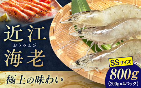 近江海老 800g(SSサイズ)[AQBA006]えび 近江海老 エビ