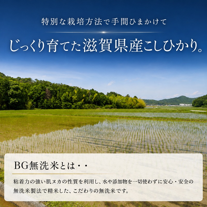 【令和8年産】新米 BG無洗米 コシヒカリ 5kg 6回定期便 令和8年産 定期便 米 無洗 無洗米こめ コメ お米 ご飯 米 こしひかり 米定期便 6か月定期便 6ヶ月定期便 6回 6ヶ月 6か月 